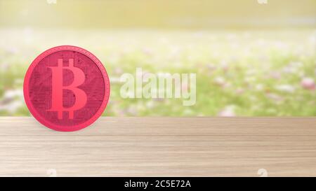 Moneta rossa d'oro bitcoin isolata su campo di fuoco dei fiori. Bit-coin 3d render isolato, criptovaluta, criptovaluta, criptovaluta, business, management, rischio, denaro, contanti, Foto Stock