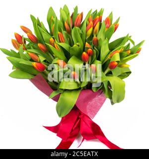 Bouquet di tulipani rossi isolato su sfondo bianco Foto Stock