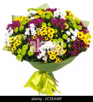 Bouquet di coloratissimi astori isolati su sfondo bianco Foto Stock