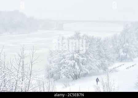 Paesaggio invernale, Mosca, Russia. L'uomo cammina nel parco vicino al fiume Sicy Moskva durante la nevicata. Sfondo natura invernale. Vista panoramica su una spiaggia innevata Foto Stock