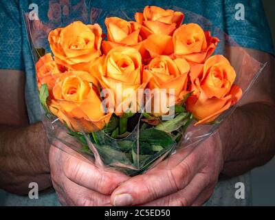 Primo piano delle mani dell'anziano che tengono un mazzo di belle rose arancioni fresche e steli verdi in un involucro di plastica, pronti a regalare a qualcuno. Foto Stock