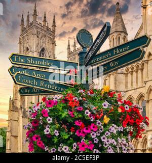 La cattedrale di York e un cartello con le indicazioni per i luoghi di interesse della città - al tramonto Foto Stock