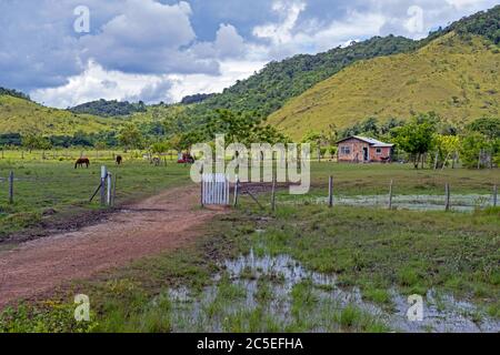 Piccola casa colonica sulla savana lungo la strada sterrata Linden-Lethem che collega Lethem e Georgetown nella stagione delle piogge, Guyana, Sud America Foto Stock