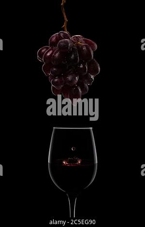 mazzo di uva matura e bicchieri da vino umidi e scuri isolati su fondo nero. gocce di succo cadono da un mazzo di uva in un bicchiere di vino rosso Foto Stock