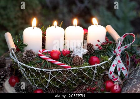 decorazione avvento con candele bianche e coni in cesto Foto Stock