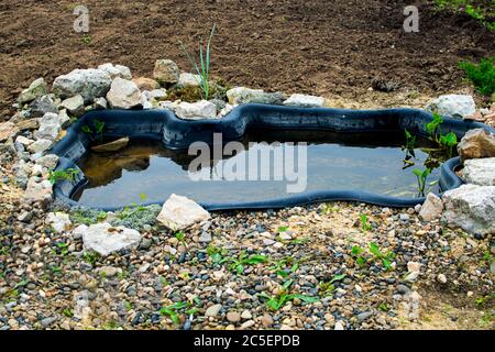 Piccolo stagno nel giardino come elemento di disegno paesaggistico. Foto Stock