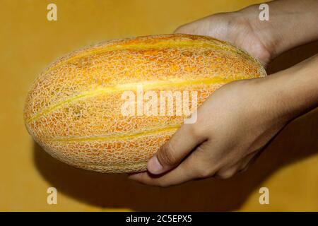 Il melone dello zucchero Muskmelon, con le mani, è un alimento sano, con una fetta e una fetta di meloni giapponesi. Fuoco selettivo con sfocatura. Foto Stock