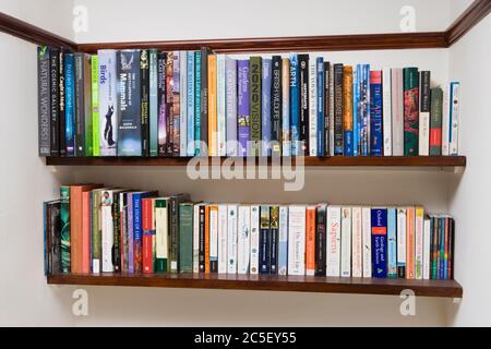 Scaffali completi per libri Foto Stock