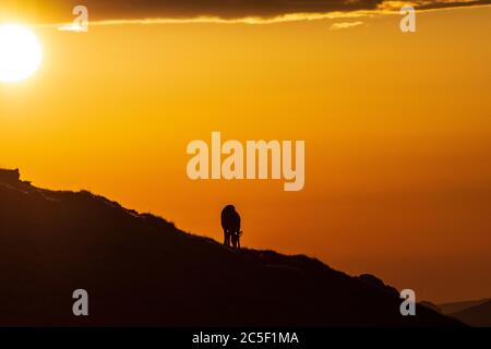 Sankt Barbara im Mürztal: Camosci (Rupicapra rupicapra), monte Hohe Veitsch (Veitschalpe), alba, sole, nuvole scure a Hochsteiermark, Steiermark, Foto Stock