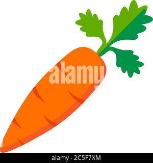 Icona di carota vettore sana illustrazione vegetale isolato su sfondo bianco Illustrazione Vettoriale