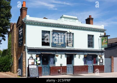 Il pub Mallard, High Street, Hampton Hill, Borough of Richmond-upon-Thames, Greater London, England, Regno Unito Foto Stock