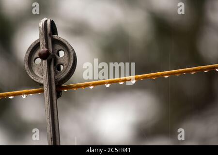 Pioggia che si abbellisce su una closelina Foto Stock