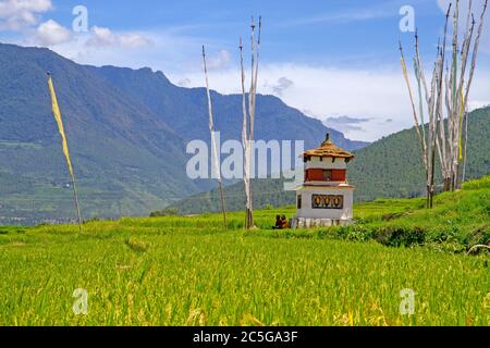Chorten in risaie vicino Punakha Foto Stock