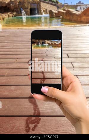 Immagine ravvicinata del telefono cellulare con le mani femminili e la modalità fotocamera sullo schermo. Immagine ritagliata delle impronte sul pavimento di legno dietro di esso Foto Stock