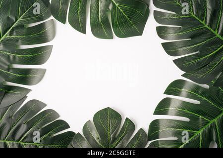 Foglie giganti di monstera isolate contro il bianco, spazio di copia per il testo Foto Stock