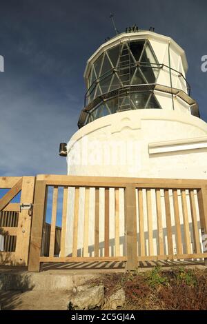 Primo piano vista del faro di Nugget Point a Otago Sud Nuova Zelanda con nuova recinzione Foto Stock