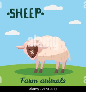 Carino animale animale fattoria pecora, animali da fattoria, vettore illustrazione su sfondo campo. Stile cartone animato, isolato Illustrazione Vettoriale