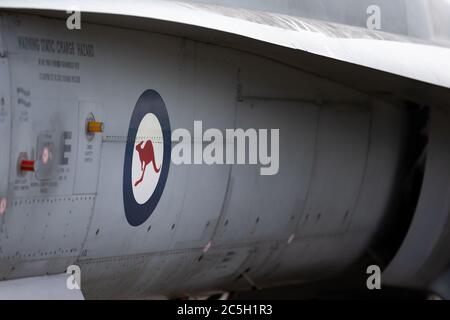 Royal Australian Air Force Roundel sulla fusoliera di un F/A-18 Hornet multiruolo aereo da combattimento. Foto Stock