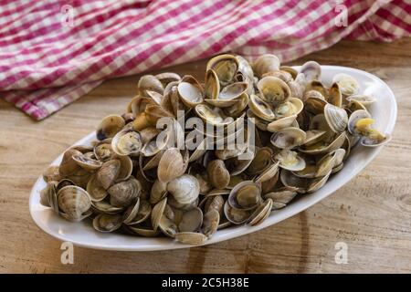 piccole vongole chiamate telline su un piatto di portata Foto Stock