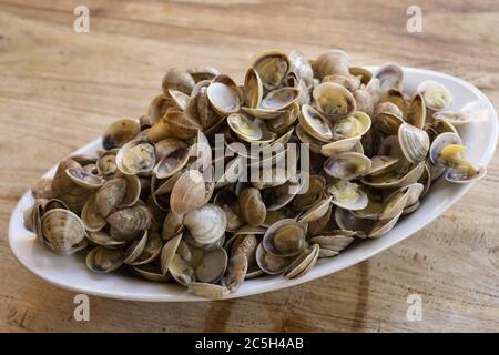 piccole vongole chiamate telline su un piatto di portata Foto Stock