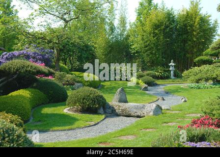 Japanischer Garten, Krummholzkiefer Pinus mugo var. Pumilio, Buchsbaum Buxus sempervirens suffruticosa, Bambus Phyllostachys Foto Stock