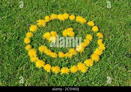 Faccia sorridente fatta di fiori di dente di leone su un prato d'erba Foto Stock