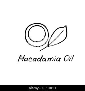 Olio di macadamia. Ingrediente cosmetico. Olio nutrizionale per la cura della pelle. Icona disegnata a mano di noce di macadamia. Illustrazione vettoriale. Illustrazione Vettoriale