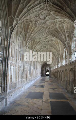 Gloucester Cattedrale di Gloucester, Inghilterra Foto Stock