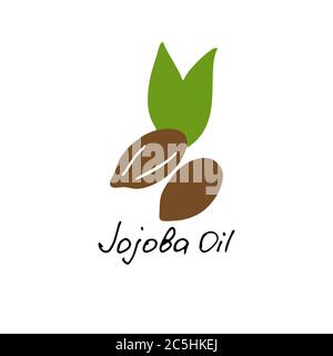 Olio di jojoba. Ingrediente cosmetico. Olio nutrizionale per la cura della pelle. Icona disegnata a mano del dado di jojoba. Illustrazione vettoriale Illustrazione Vettoriale