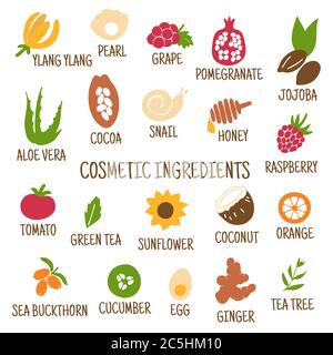 Ingredienti cosmetici. Icone disegnate a mano di erbe, frutta, verdura, fiori, oli. Raccolta di icone vettoriali. Illustrazione Vettoriale