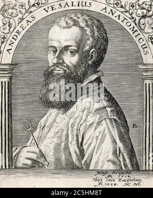 ANDREAS VESALIUS (1514-1564) medico e anatomista fiammingo Foto Stock