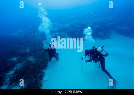 Scienziati marini che istituiscono il gangrass, Posidonia oceanica, stazione di monitoraggio nell'area marina protetta di Kas-Kekova Antalya Turchia. Foto Stock