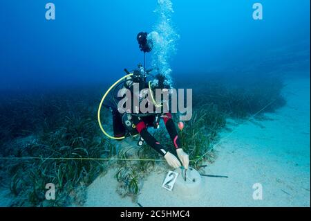 Scienziati marini che istituiscono il gangrass, Posidonia oceanica, stazione di monitoraggio nell'area marina protetta di Kas-Kekova Antalya Turchia. Foto Stock