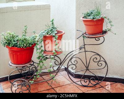 Decorativo in ferro battuto, in forma di bicicletta con tre pentole, con piante verdi si erge sul pavimento sulla piastrella contro il bianco Foto Stock