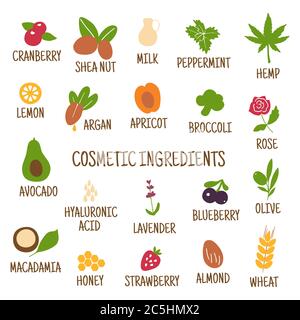 Ingredienti cosmetici. Icone disegnate a mano di erbe, frutta, verdura, fiori, oli. Raccolta di icone vettoriali. Illustrazione Vettoriale