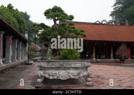 Hanoi Vietnam, giardino bonsai nel cortile al tempio della letteratura Foto Stock
