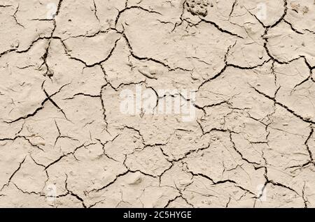 Terreno fangoso asciutto e incrinato a causa della temperatura calda, concetto di siccità, fango secco, vista ad angolo basso, campagna, Germania, Europa Foto Stock