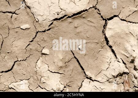 Terreno fangoso asciutto e incrinato a causa della temperatura calda, concetto di siccità, fango secco, vista ad angolo basso, campagna, Germania, Europa Foto Stock