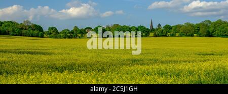 Privett, UK - 4 maggio 2020: Vista estiva attraverso i campi gialli di colza alla chiesa della Santa Trinità a Privett nel South Downs National Park, Regno Unito Foto Stock