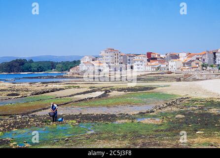Panoramica con marea bassa. Carril, provincia di Pontevedra, Galizia, Spagna. Foto Stock