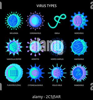 Icona dei tipi di virus impostata in stile piatto su sfondo scuro. Raccolta dei simboli delle cellule di infezione. Illustrazione vettoriale dei virus umani. Illustrazione Vettoriale