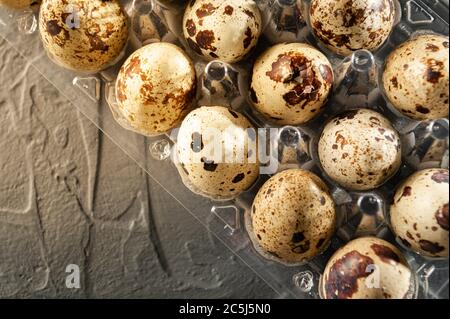 quail uova in un contenitore di plastica su sfondo grigio Foto Stock