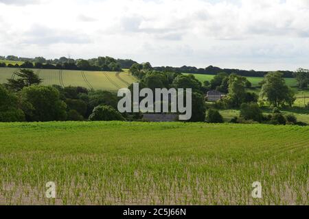 Terreni agricoli e campi d'Inghilterra in estate. Foto Stock