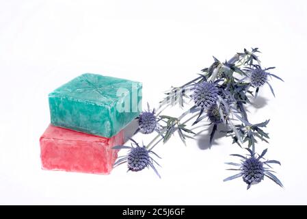 sorvola varie sfumature con un bel fiore di lavanda Foto Stock