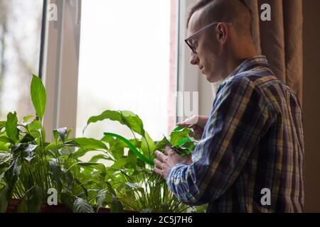 Giovane freelance uomo annaffiatura vasi di fiori durante la pausa nel processo di lavoro. Maschio che si prende cura dei palnts in ufficio domestico Foto Stock