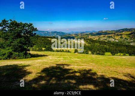 Campagna italiana con campi, alberi, erba e prati intorno alla piccola città di Serramazzoni, Modena, Italia Foto Stock