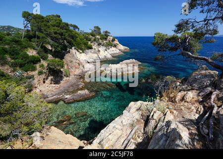 Calanques du Layet, vicino a Cavalaire-sur-Mer, Varo, Provenza-Alpi-Costa Azzurra, Francia, Europa Foto Stock