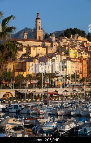 Vista sulla città vecchia e il porto, Menton, Provence-Alpes-Côte d'Azur, in Francia, in Europa Foto Stock