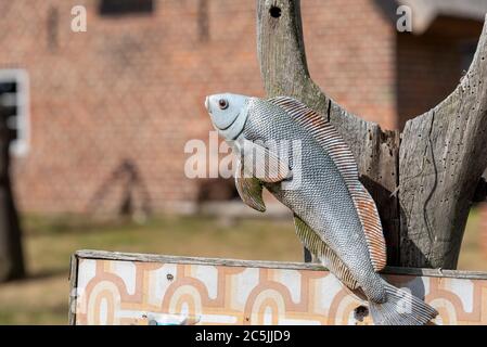 Neuendorf, Germania. 06 giugno 2020. Un pesce di metallo pende di fronte al Museo della pesca di Hiddensee. Il museo si trova all'ingresso di Neuendorf, nell'ex capannone "Lütt Partie", progettato e arredato dai pescatori. Credit: Fahren/dpa-Zentralbild/ZB/dpa/Alamy Live News Foto Stock