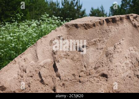 Un mucchio di sabbia versato in un prato per la costruzione. Foto Stock